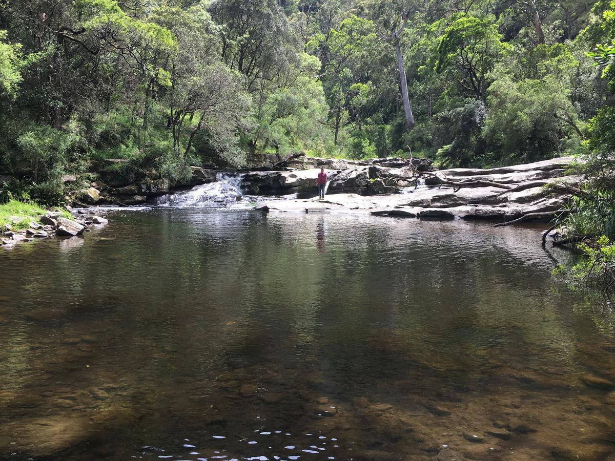 Cumberland River Holiday Park Lorne Exteriér fotografie